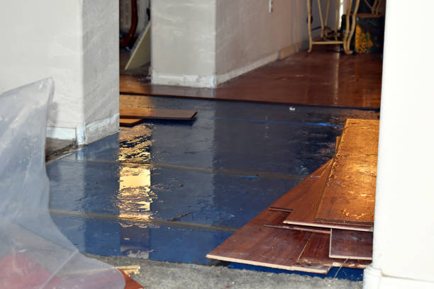 Professional Burst Pipe Cleanup technician working in Hudson, ME